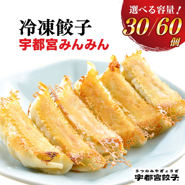 【ふるさと納税】【選べる内容量】宇都宮餃子【宇都宮みんみん】餃子 ◇【ぎょうざ ギョウザ ギョーザ 冷凍食品 冷凍餃子 惣菜  夜ご飯 おかず おつまみ 手軽 時短 お取り寄せ グルメ 送料無料 栃木県 宇都宮市】※離島への配送不可