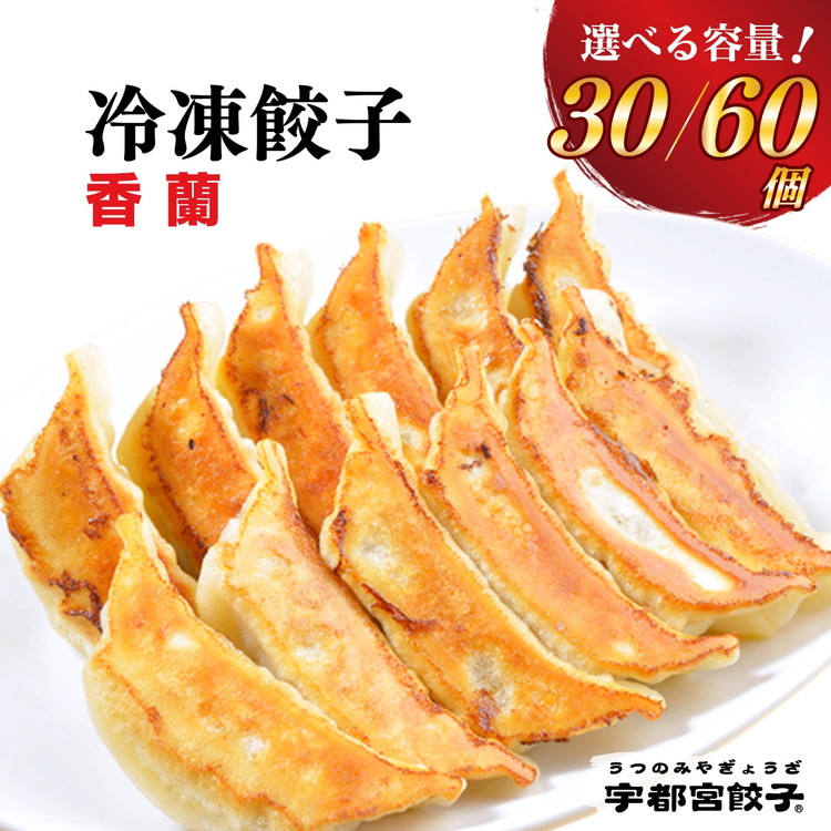 【ふるさと納税】【選べる内容量】宇都宮餃子【香蘭】餃子 【 冷凍餃子 ぎょうざ ギョウザ 冷凍食品 惣菜 栃木県 宇都宮市 】※離島への配送不可