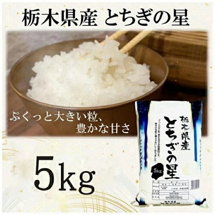 【ふるさと納税】【令和7年産】栃木県産とちぎの星（精米）5kg×1袋 ｜ お米 白米 一等米 送料無料 栃木県 宇都宮市　※離島への配送不可 10,080円