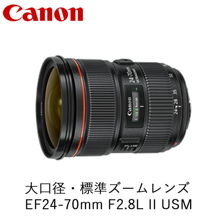 wild-1の一般受けしっぺい返し品をご引き合わせる！