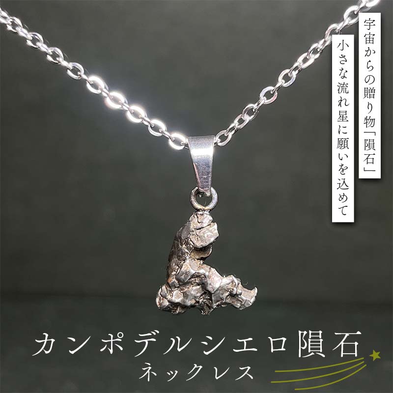 【ふるさと納税】カンポデルシエロいん石の頸飾り F7Z-1327