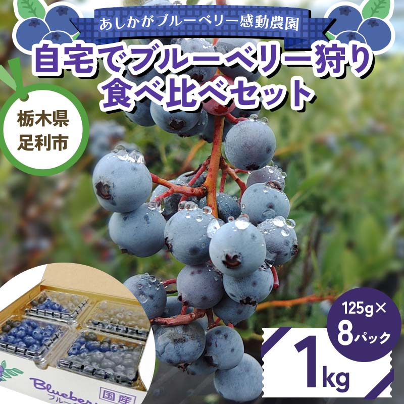 【ふるさと納税】自宅でブルーベリー狩り 食べ比べセット 1kg F7Z-1348