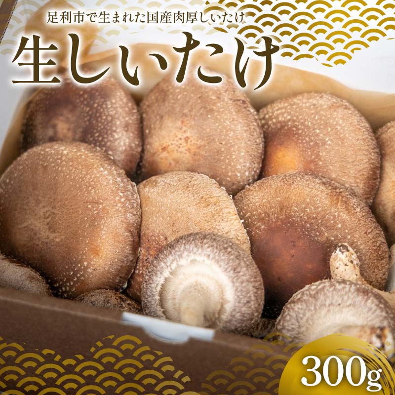 【ふるさと納税】純国産菌床しいたけ 生しいたけ300g 国産 野菜 椎茸 栃木 F7Z-1352|栃木県足利市