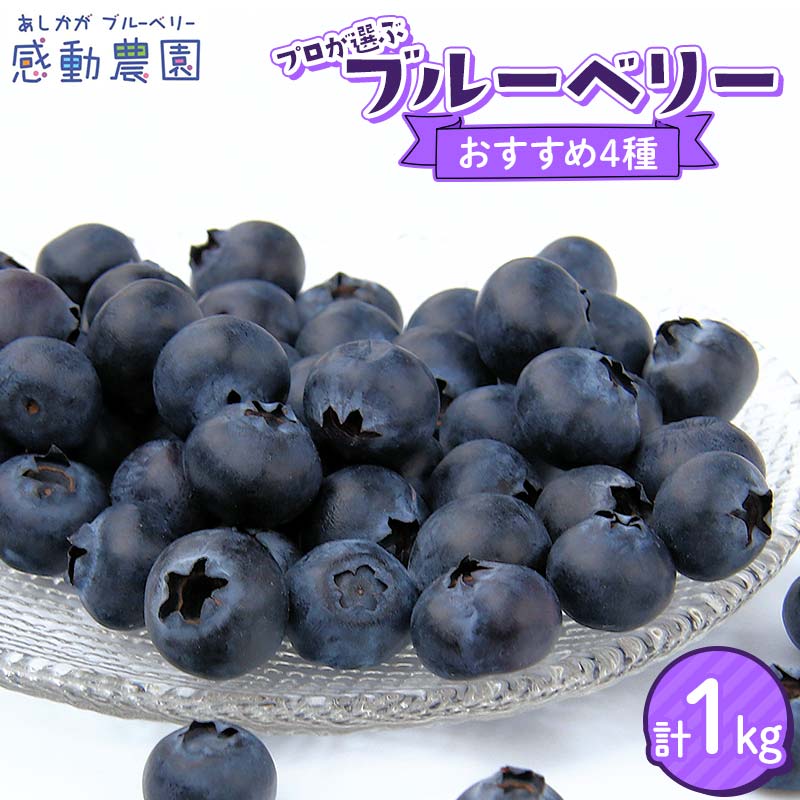 【ふるさと納税】ブルーベリー プロが選ぶおすすめ4種セット 計1kg 冷蔵 栃木県 足利市 F7Z-1356