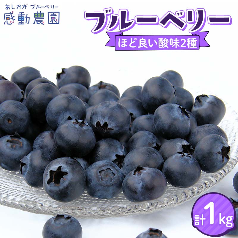 【ふるさと納税】ブルーベリー ほどよい酸味2種セット 計1kg 冷蔵 栃木県 足利市 F7Z-1358