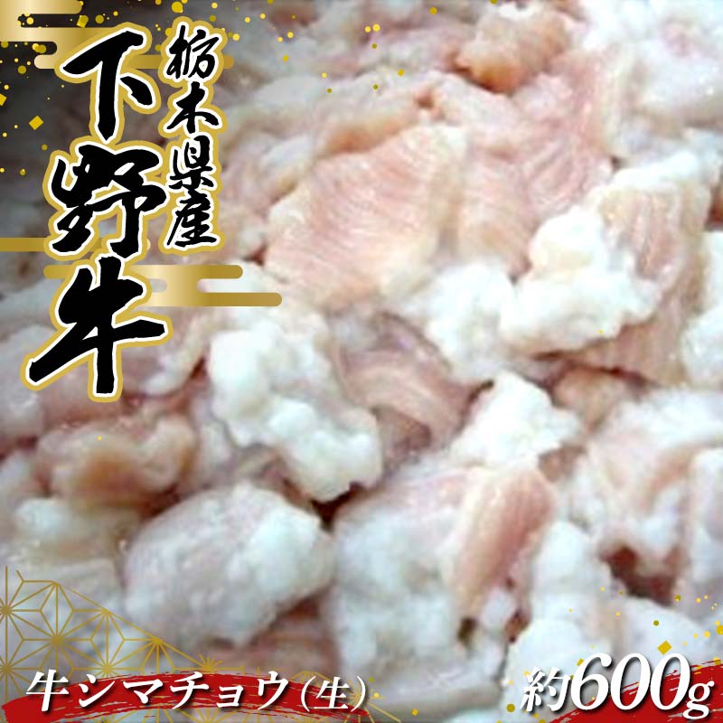 【ふるさと納税】栃木県産 厳選下野牛！ 牛シマチョウ（生）約600g 国産 ブランド牛 牛肉 肉 焼肉 BBQ バーベキュー 食品 冷凍 贈答 贈り物 ギフト プレゼント 自宅 家庭 栃木県 足利市 F7Z-1599｜栃木県足利市