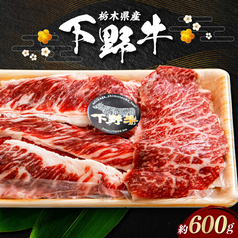 【ふるさと納税】栃木県産 厳選下野牛！肉スジ 約600g 国産 ブランド牛 牛肉 肉 牛筋 牛スジ 牛すじ カレー 煮込み 調理 食品 冷凍 贈答 贈り物 ギフト プレゼント 自宅 家庭 栃木県 足利市 F7Z-1600