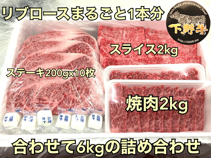 【ふるさと納税】「下野牛」リブロースまるごと1本【ブランド牛の肉 下野牛のお肉 調理用 たっぷりお肉 満足できる逸品 メイン料理 おかず料理 プチ贅沢 各種お肉 たっぷり一本 栃木県 足利市 】 F7Z-150｜栃木県足利市 167,000円