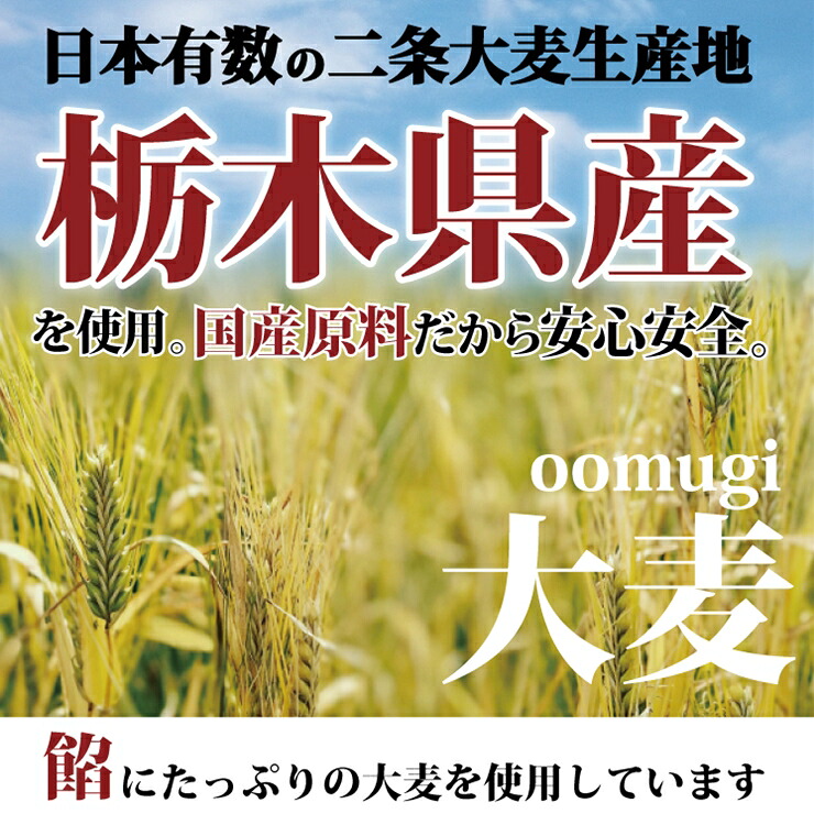 ふるさと納税 あしかが大麦餃子 ギフトセット 栃木県 足利市 Lojascarrossel Com Br