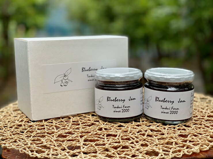 ふるさと納税 ゼロ付録手作りブルーベリージャム ノン車糖 有機積肥涵養のブルーベリー鑿で煮たジャム G 個固化 栃木県 足利市庭 Loadedcafe Com