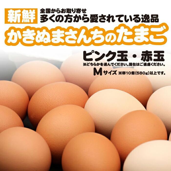 市場 ふるさと納税 かきぬまさんちのたまご