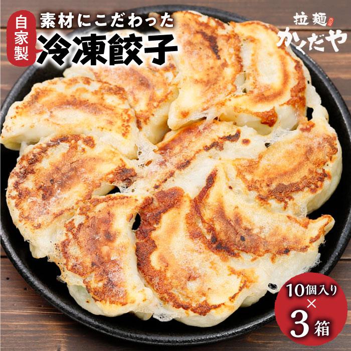 【ふるさと納税】素材にこだわった自家製冷凍餃子【食品 加工食品 人気 おすすめ 】 | ぎょうざ 大容量 冷凍 国産 お取り寄せ グルメ 人気 おススメ 肉 お肉 野菜 栃木県 栃木市