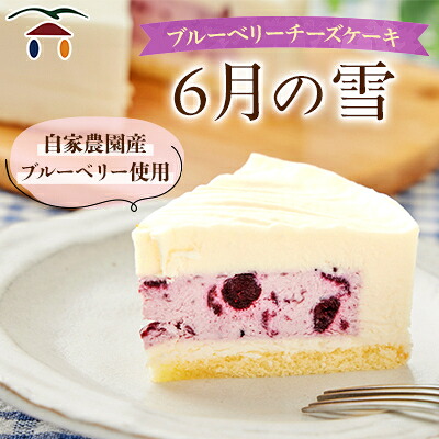 【ふるさと納税】ブルーベリーチーズケーキ　6月の雪【配送不可地域：離島】【1082307】