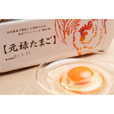 当店限定販売 佐野市飛駒町産 大久保養鶏場 元禄卵 60個 10個入り 6パック Gefert Com Br