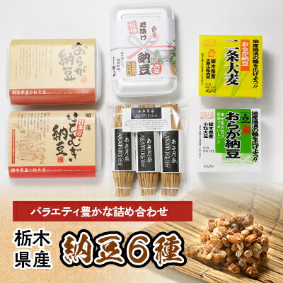 【ふるさと納税】栃木県産納豆6種詰め合わせセット【配送不可地域：離島】【1240805】