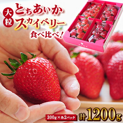 【ふるさと納税】【春イチゴ】 食べ比べ!大粒『スカイベリー』、『とちあいか』300g×2パックずつ【配送不可地域：離島】【1291781】