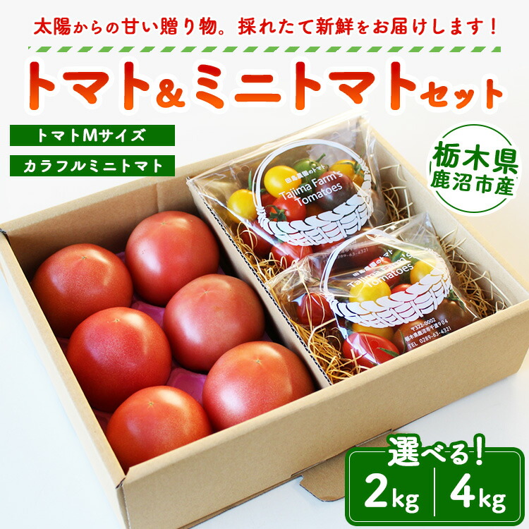 【ふるさと納税】【選べる容量】トマト＆ミニトマトセット 2kg・4kg | 田島農園 野菜 トマト ミニトマト 濃厚 贈り物 新鮮 高糖度 リコピン ビタミン 美容 健康