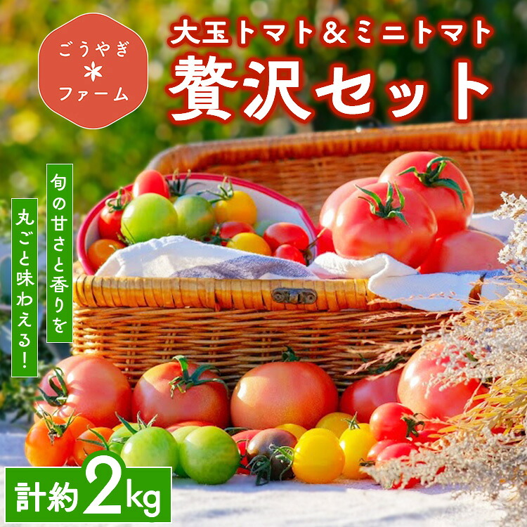 【ふるさと納税】ごうやぎファームの大玉トマト＆ミニトマト贅沢セット | 野菜 トマト ミニトマト 完熟 採れたて 直送 濃厚 新鮮 ビタミン 贈り物 ※2026年1月上旬～5月下旬頃までに順次発送予定