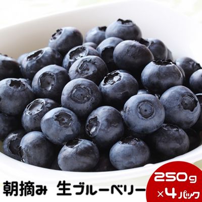 【ふるさと納税】数量限定 50セット 鹿沼 朝摘み 生ブルーベリー 250g × 4パック 1kg ｜ 果物 詰合せ フルーツ ※沖縄・離島への配送不可 ※2025年6月中旬～2025年7月中旬頃に順次発送予定