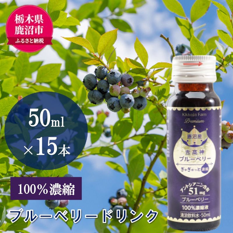 楽天市場】【ふるさと納税】ブルーベリー 原液 600ml ( 300ml × 2本