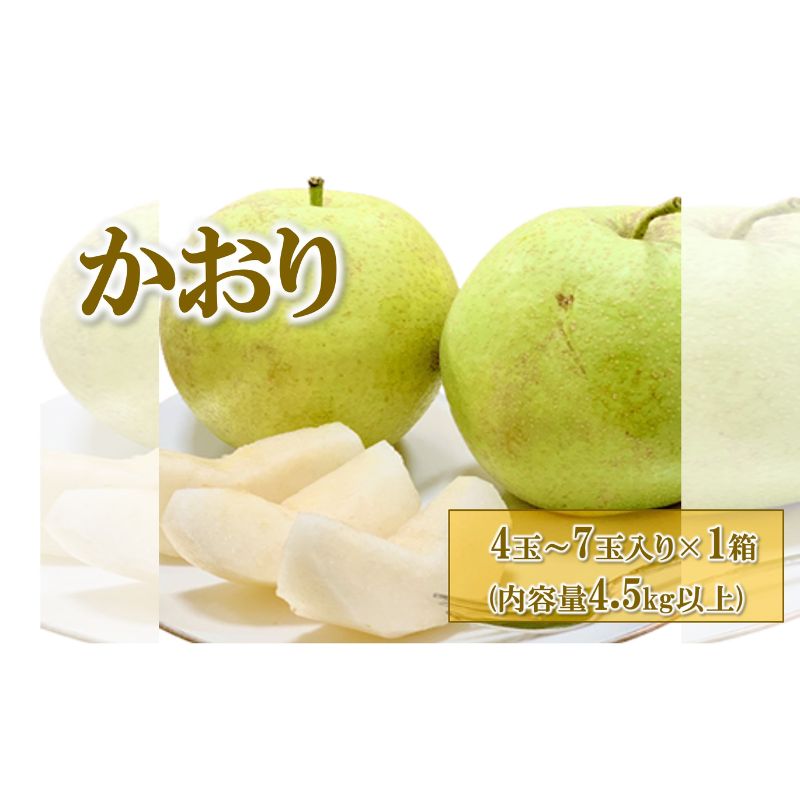 【ふるさと納税】【先行予約】梨(かおり) 4玉~7玉入り×1箱 (4.5kg以上) ※2026年9月上旬~9月下旬頃に順次発送予定
