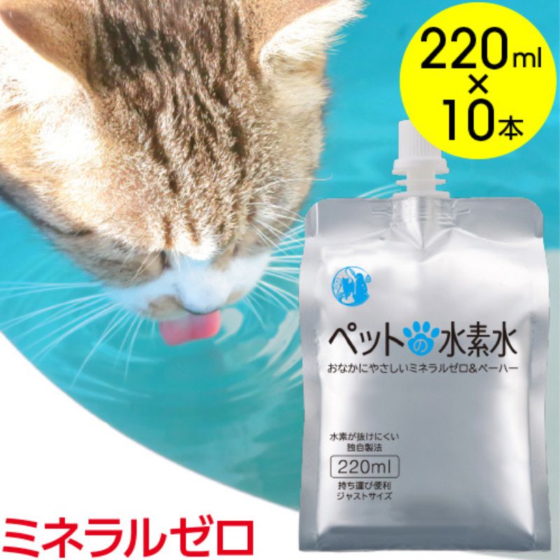 ＼家計を助けること！人並み外れた奉加金額特集／