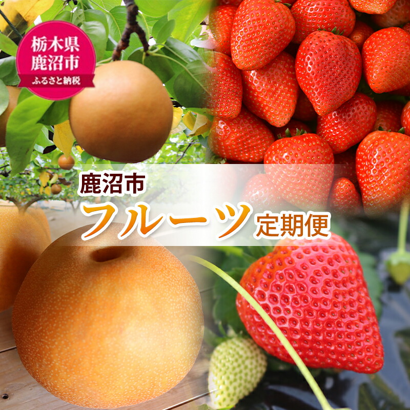 【ふるさと納税】【 定期便 2回 】 大玉な梨 にっこり 2玉 約2kg と いちご市 鹿沼の 美味しい「い」「ち」「ご」とちあいか 15粒入り260g 2パック のフルーツ 定期便 ｜ 梨 いちご 鹿沼市 かぬま ※沖縄・離島への配送不可 ※2025年10月中旬～2026年1月下旬頃に順次発送予定