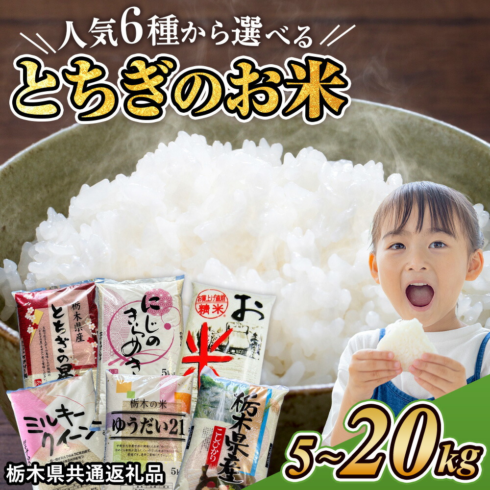 【ふるさと納税】楽天限定 米 栃木県産 ブレンド米 コシヒカリ ゆうだい21 とちぎの星 ミルキークイーン にじのきらめき 5kg 10kg 20kg【選べる品種・内容量】【栃木県共通返礼品】 | 米 最短5営業日 発送 定期便 総合ランキング16位 楽天限定寄附額 訳あり：栃木県鹿沼市