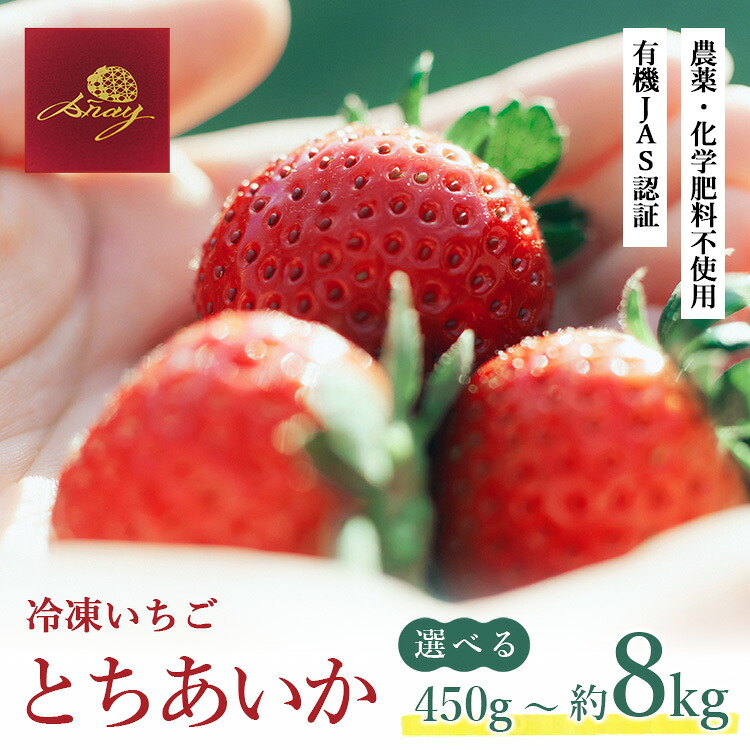 【ふるさと納税】＼選べる内容量／有機JAS認証いちご使用 冷凍いちご 450g～約8kg