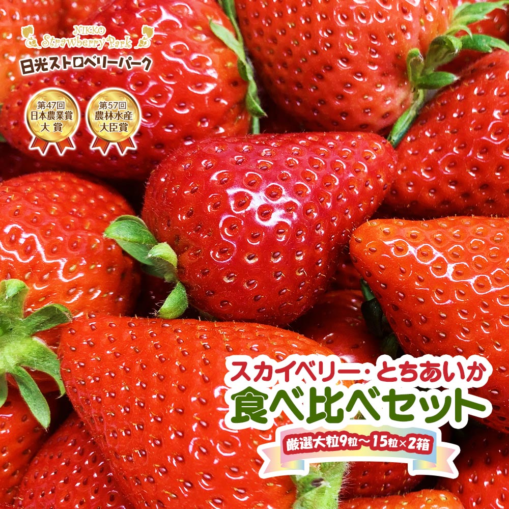 【ふるさと納税】[先行予約] プレミアム『スカイベリー』＆新品種『とちあいか』食べ比べセット 大粒のみ厳選 9粒から15粒詰 約420g×2箱 [2026年1月上旬より順次発送]｜日光ストロベリーパーク スカイベリー とちあいか いちご イチゴ 苺 フルーツ [0644]
