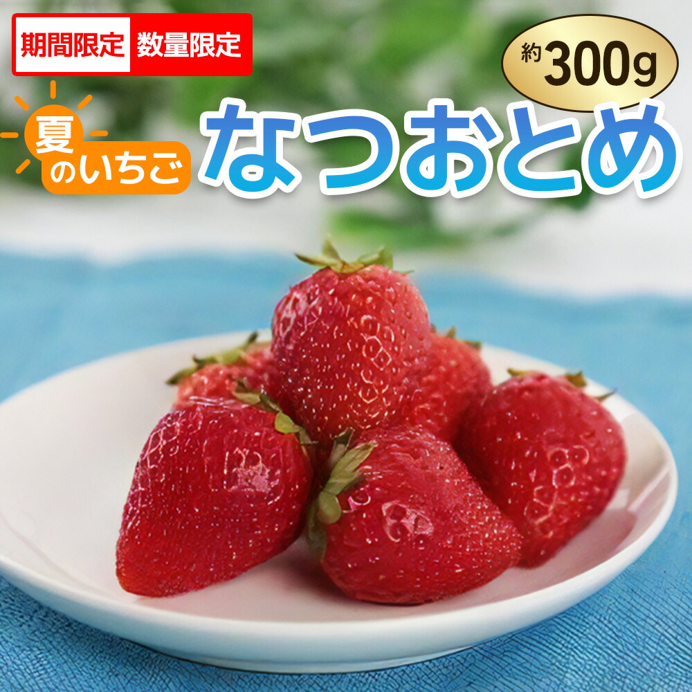 【ふるさと納税】[先行予約／数量限定] 夏のいちご「なつおとめ」天空の高原いちご プレミアムギフト 計300g 贈答用 化粧箱入り 約2人分｜期間限定 夏秋限定 いちご イチゴ 苺 フルーツ 果物 果実 スイーツ 産地直送 サマーギフト 奥日光 日光市産  栃木県産 [0366]