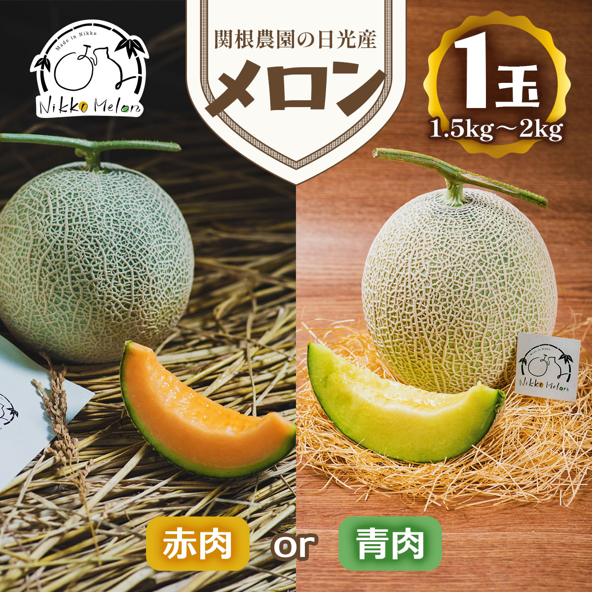 【ふるさと納税】関根農園の日光産 メロン 1玉 赤肉メロン／青肉メロン【2026年9月初旬より順次発送】｜先行予約 メロン 果物 くだもの フルーツ スイーツ 赤肉 日光市産 栃木県産 国産 [0849-0851]｜栃木県日光市 9,240円