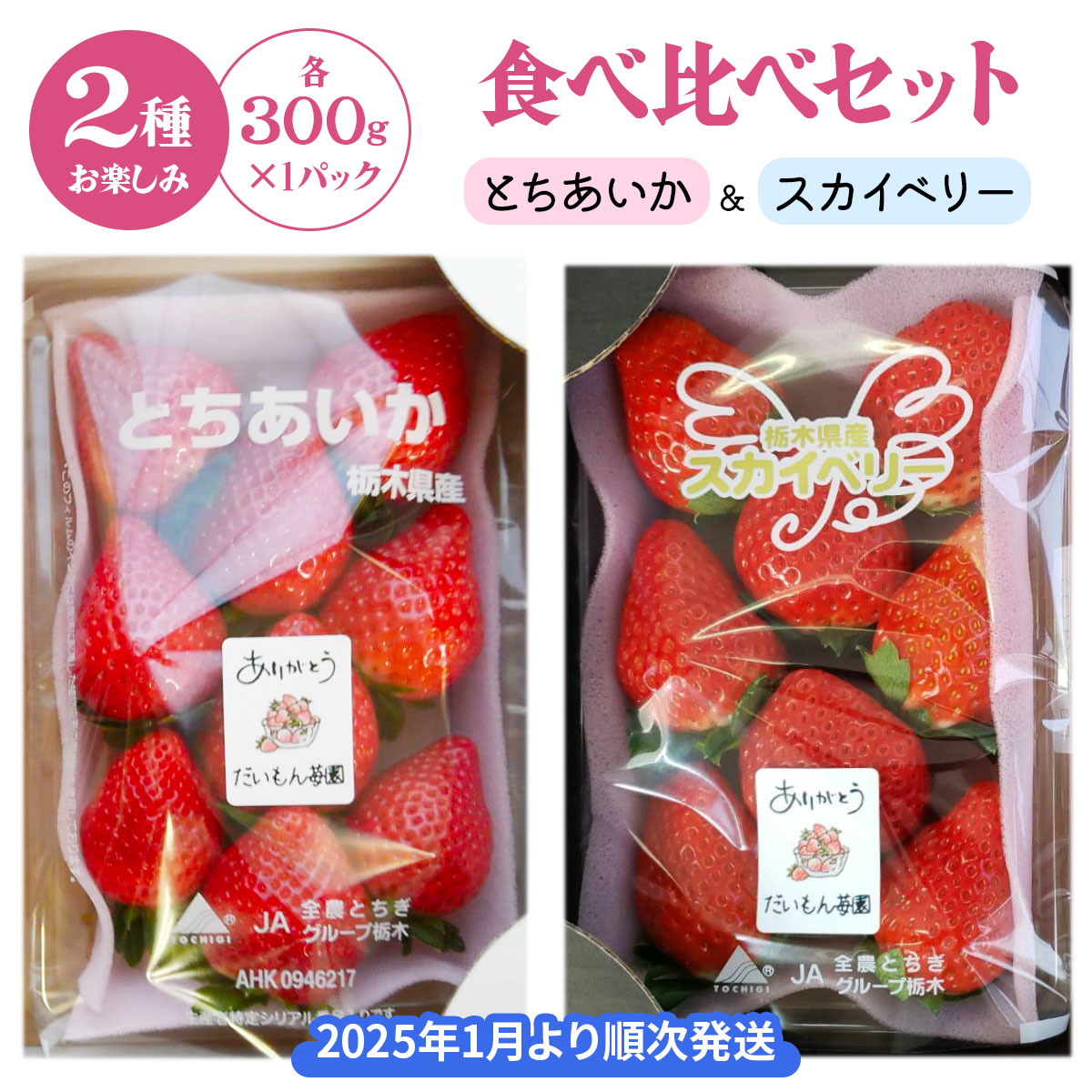 いちごページ 楽天市場】【ふるさと納税】[先行予約]『スカイベリー』＆『とち