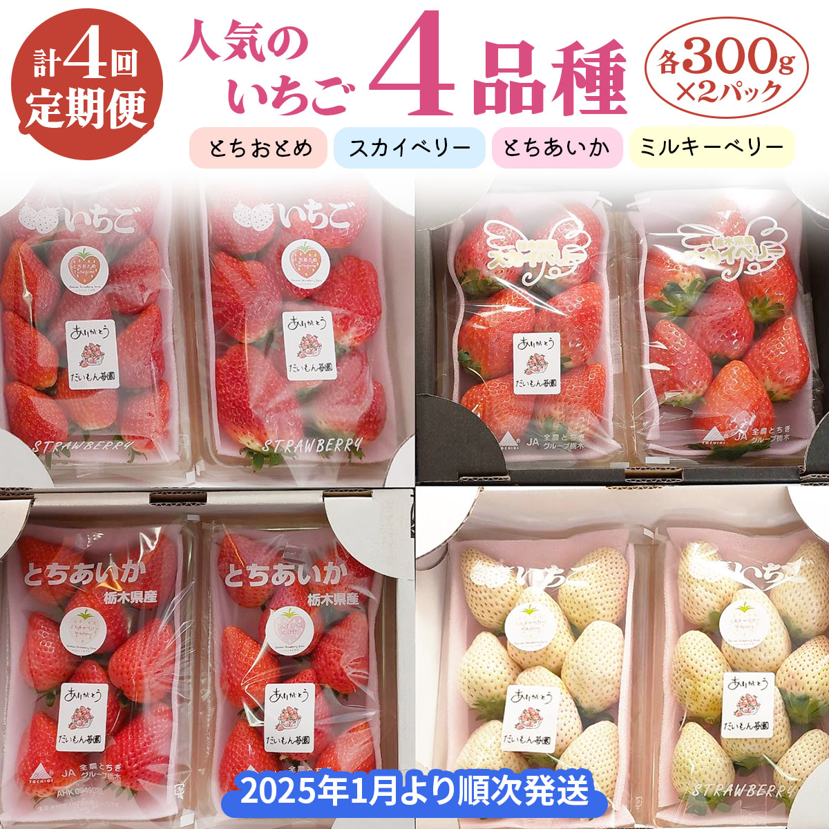 楽天市場】【ふるさと納税】[2026年1月上旬より順次発送] 4種類