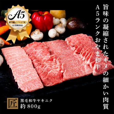 【ふるさと納税】おやま和牛 A5 極 ヤキニク 約800g【配送不可地域：離島】【1096937】