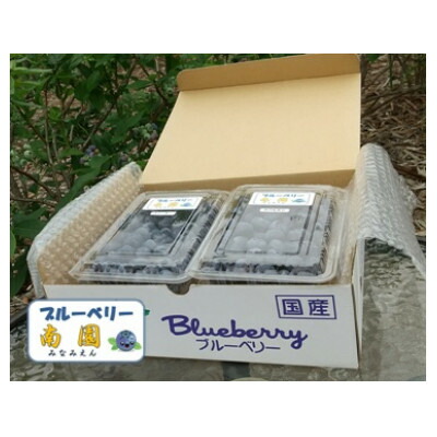 楽天市場】【ふるさと納税】【先行予約】＜すだ農園＞栽培期間中農薬不