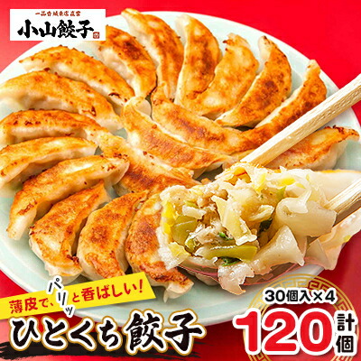 【ふるさと納税】冷凍餃子専門店 小山餃子 ひとくち餃子 120個【配送不可地域：離島】【1259753】