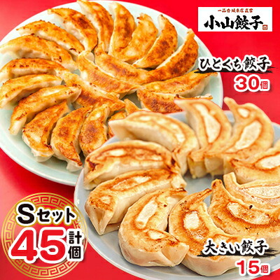【ふるさと納税】冷凍餃子専門店 小山餃子[Sセット全45個] ひとくち餃子30個/大きい餃子15個【配送不可地域：離島】【1277803】