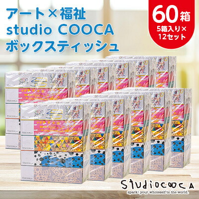 【ふるさと納税】アートパッケージボックスティッシュ60箱【5箱入り×12セット】【1箱150組(300枚)】【1589794】