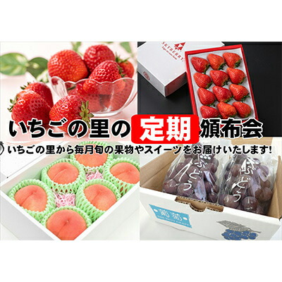 【ふるさと納税】【発送月固定定期便】いちごの里定期頒布会全12回【配送不可地域：離島・北海道・沖縄県・信越、北陸・東海・近畿・中国・四国・九州】【4000241】
