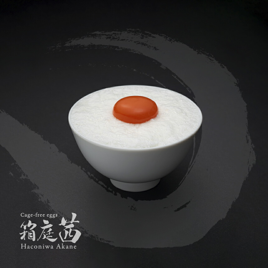 レア！ 1984” 米軍実物 OD ポンチョ リップストップ 43