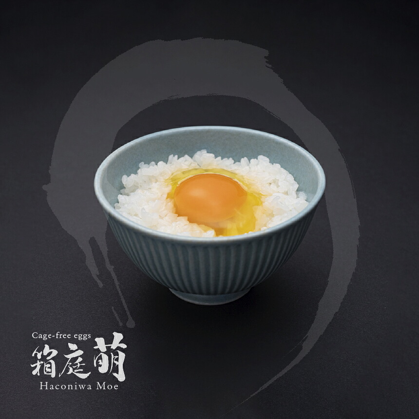 【ふるさと納税】高級卵 定期便 箱庭たまご 萌 選べる個数 (9個/10個/12個) 選べる回数 (3回/6回/12回) | たまご 玉子 卵かけご飯 TKG 濃厚 贈答用 ギフト プレゼント お取り寄せ グルメ 産地直送 新鮮 国産 栃木県 真岡市 送料無料|栃木県真岡市