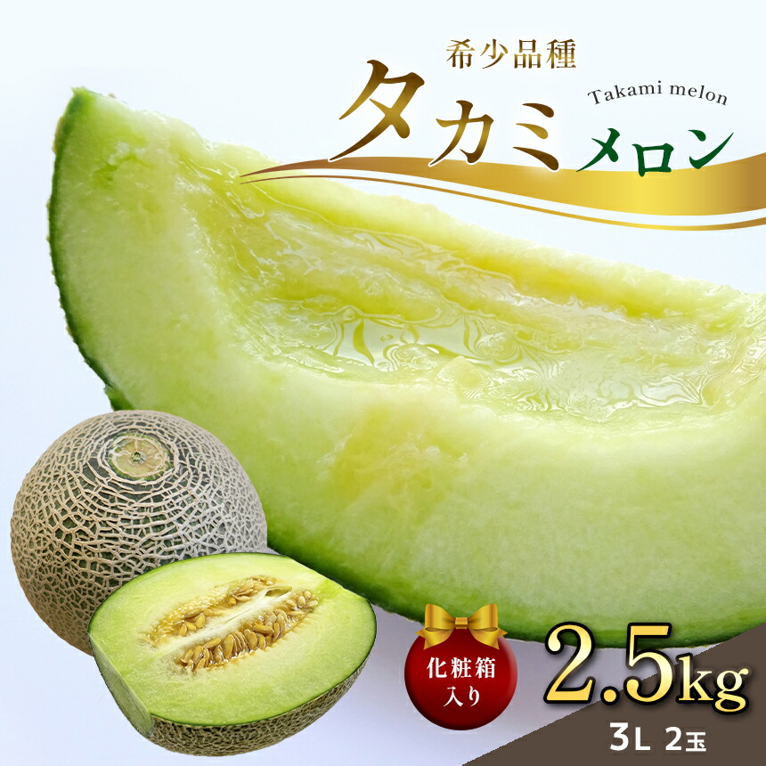【ふるさと納税】 【2025年 先行予約】タカミ メロン 3L 2玉 化粧箱入り 真岡市産 国産 特産品 栃木県 真岡市 | 栃木県 真岡市 送料無料 メロン 果物 フルーツ ギフト 贈り物 プレゼント