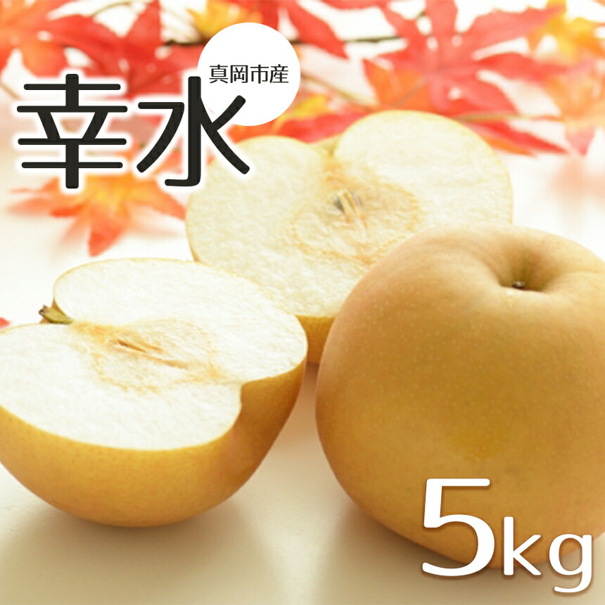 【ふるさと納税】 【2025年先行予約】 真岡市産 幸水 5kg | 梨 なし フルーツ 鮮度  品種  果汁 多い  酸味 さっぱり 味わい 旬 採れたて 食感 直送 甘い ジューシー 冷やして 美味しい 水分補給  すりおろし シャーベット  特産品 栃木県 真岡市 送料無料