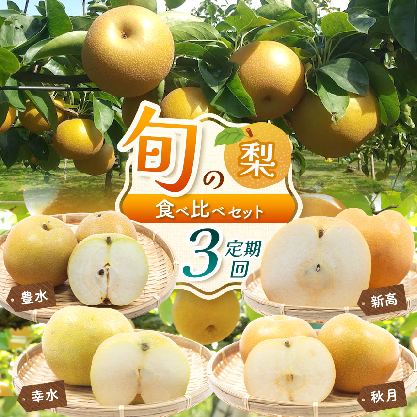 【ふるさと納税】【定期便3回】幸水3kg 豊水3kg 秋月3kg 新高5kg 旬の梨食べ比べセット | 梨 なし フルーツ 鮮度  品種  果汁 多い  酸味 さっぱり 味わい 旬 採れたて 食感 直送 甘い ジューシー 冷やして 美味しい 水分補給  すりおろし  特産品 栃木県 真岡市 送料無料