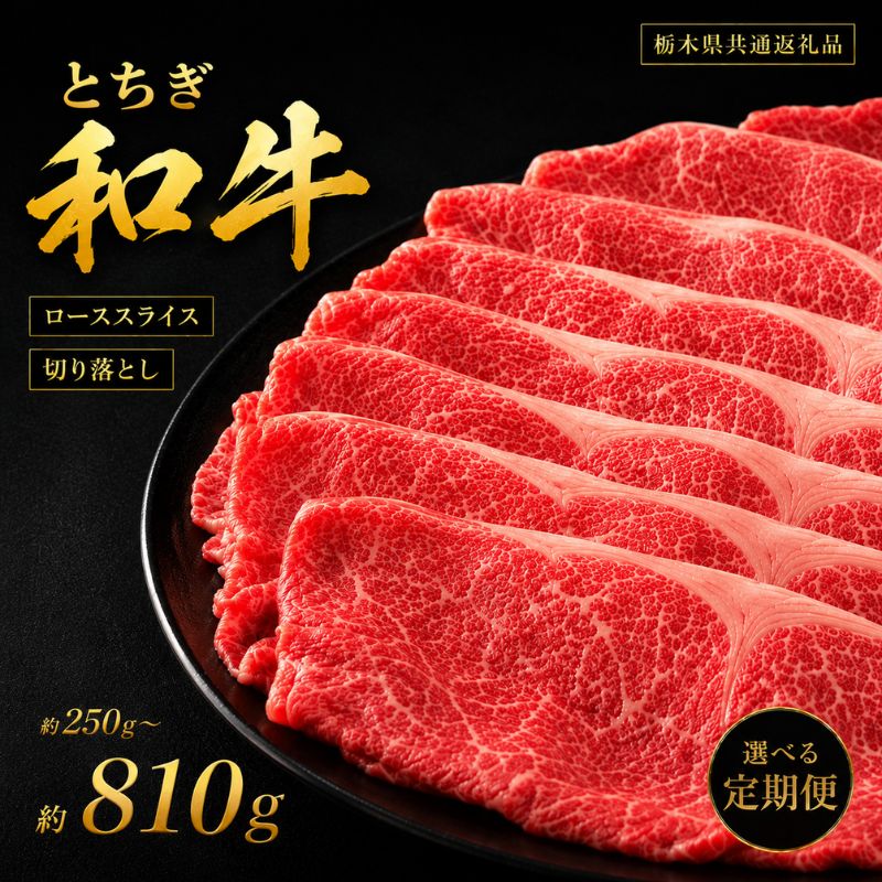 【ふるさと納税】定期便 栃木県産 黒毛和牛 とちぎ和牛 厳選部位 選べる [ロース スライス 切り落とし] 250g 500g 810g ｜ A4 A5ランク 和牛 牛肉 肉 しゃぶしゃぶ すき焼き 牛しゃぶ ギフト 贈答 お取り寄せ グルメ 栃木県 真岡市 送料無料 栃木県共通返礼品(栃木県産)｜栃木県真岡市