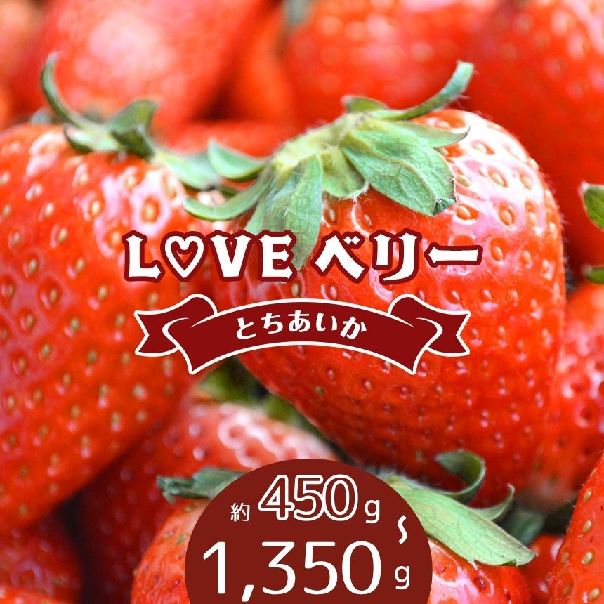 ふるさと納税】 いちご とちあいか LOVEベリー【2027年 先行予約
