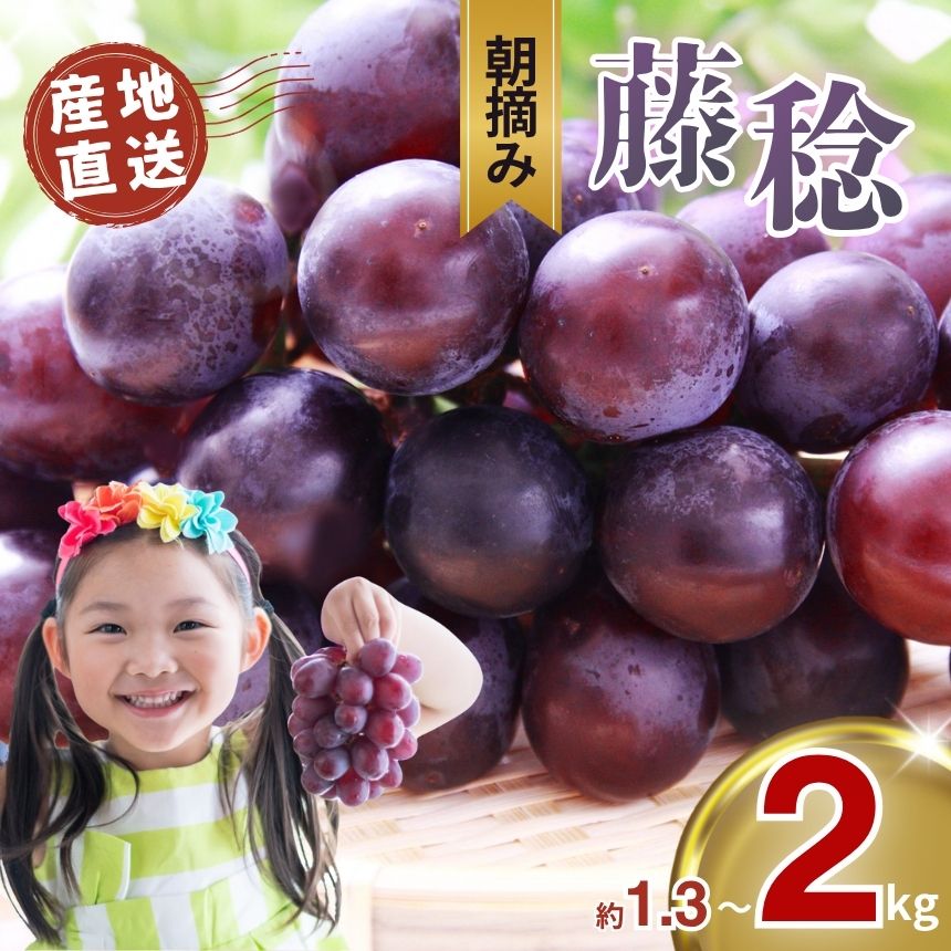 楽天市場】【ふるさと納税】 ぶどう 先行予約 約1kg ~ 2kg 2房~4房