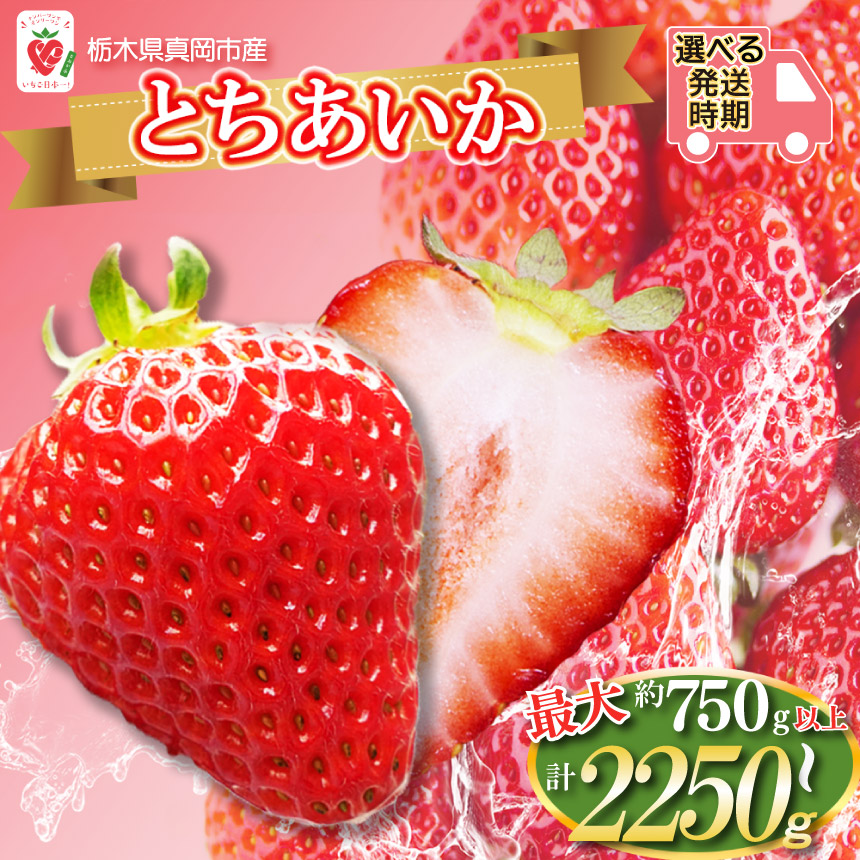【ふるさと納税】 【2026年先行予約】鮮度抜群！朝採れ 旬 の とちあいか 750g 1500g 2200g |  日本一 産地 冬 味覚 イチゴ ストロベリー 大きい  ハート 愛 美味しい 果汁 甘い あまい 甘味 たっぷり 大容量 | 人気 レビュー リピート 栃木県 真岡市 送料無料