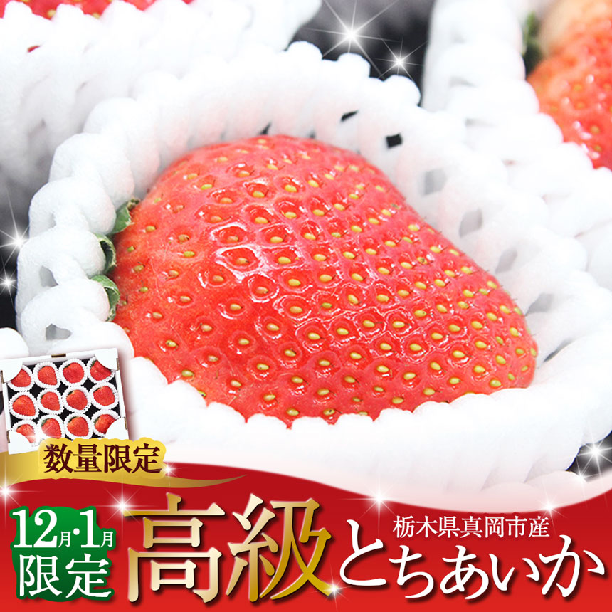 【ふるさと納税】【先行予約】12月・1月限定！ 鮮度抜群！ 高級 とちあいか   |  日本一 産地 大粒 冬 いちご 苺 イチゴ ストロベリー 大きい  ハート 美味しい 果汁 ジューシー 甘い あまい 甘味 たっぷり 旬 | 人気 レビュー リピート 栃木県 真岡市 送料無料